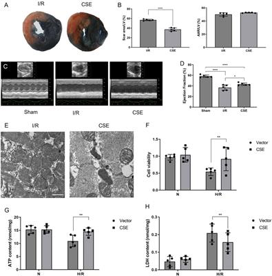 Angiotensin 1 peptide-conjugated CdSe/ZnS quantum dots for cardiac-specific hydrogen sulfide targeted therapy in myocardial ischemia-reperfusion injury